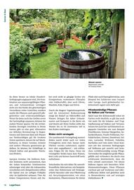 Lagerhaus Flugblatt Seite 16