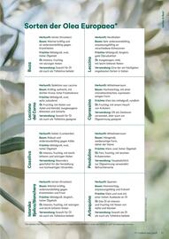 Lagerhaus Flugblatt Seite 21