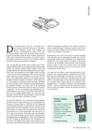 Lagerhaus Flugblatt Seite 29