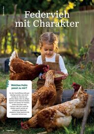 Lagerhaus Flugblatt Seite 8