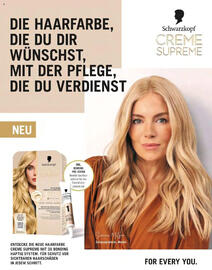 Müller Flugblatt Seite 137