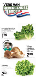 Ekoplaza folder week 21 Pagina 11