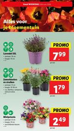 Lidl folder week 21 Pagina 45