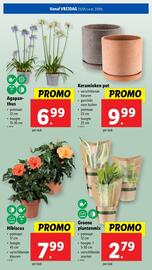 Lidl folder week 21 Pagina 59