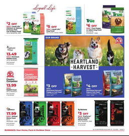 Runnings Weekly Ad Page 2