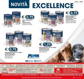 Volantino Magnone Pagina 16