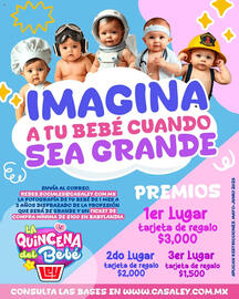 Catálogo Casa Ley Página 1