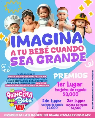 Catálogo Casa Ley (válido hasta 1-07)