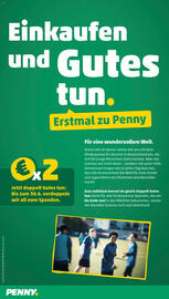 PENNY Prospekt woche 21 Seite 12