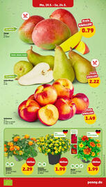PENNY Prospekt woche 21 Seite 3