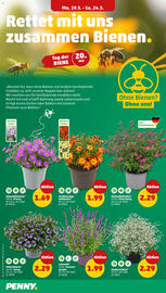 PENNY Prospekt woche 21 Seite 4