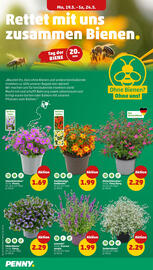 PENNY Prospekt woche 21 Seite 4