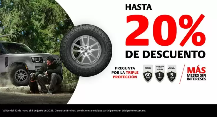 Catálogo Bridgestone (válido hasta 8-06)