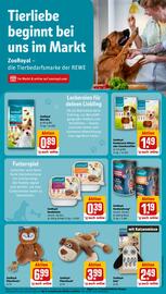 REWE Prospekt woche 21 Seite 24