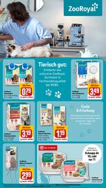 REWE Prospekt woche 21 Seite 25