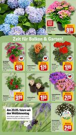 REWE Prospekt woche 21 Seite 28