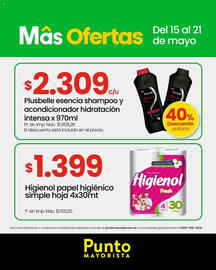 Catálogo Punto Mayorista semana 20 Página 6