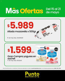 Catálogo Punto Mayorista semana 20 Página 8