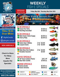 Big Al's Pets flyer week 20 Page 1