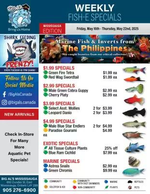 Big Al&#x27;s Pets flyer (valid until 22-05)