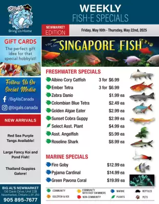 Big Al's Pets flyer (valid until 22-05)