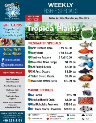 Big Al's Pets flyer (valid until 22-05)