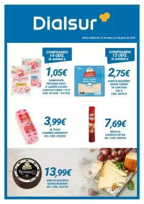 Folleto Dialsur Cash & Carry (válido hasta el 4-06)
