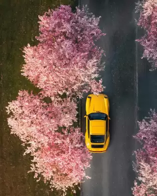 Porsche catalogue (valid until 29-05)