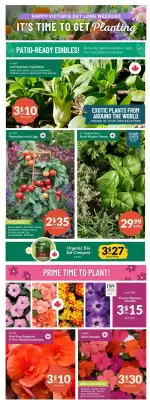 Lakeside Garden Gallery flyer (valid until 22-05)