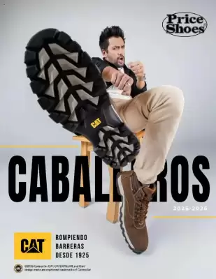Catálogo Price Shoes (válido hasta 31-12)
