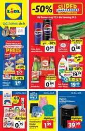 Lidl Flugblatt woche 21 Seite 1