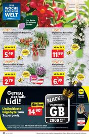 Lidl Flugblatt woche 21 Seite 27