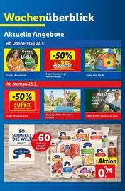 Lidl Flugblatt woche 21 Seite 3