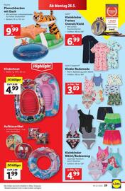 Lidl Flugblatt woche 21 Seite 32