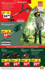Lidl Flugblatt woche 21 Seite 36