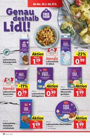 Lidl Flugblatt woche 21 Seite 39