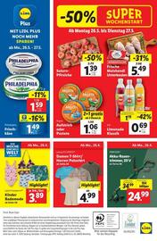 Lidl Flugblatt woche 21 Seite 45