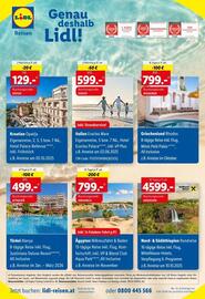 Lidl Flugblatt woche 21 Seite 46