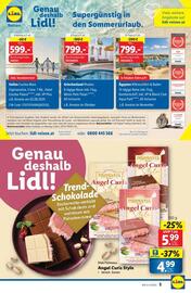 Lidl Flugblatt woche 21 Seite 8