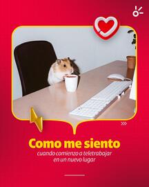 Catálogo Claro Página 1