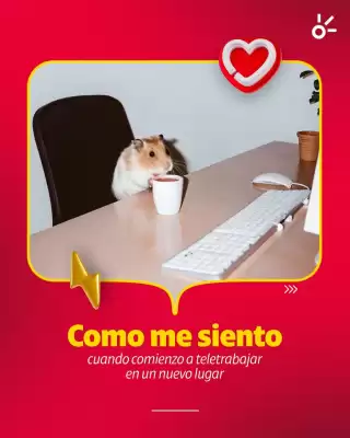 Catálogo Claro (válido hasta 17-05)