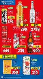 Lidl akciós újság hét 21 Oldal 10