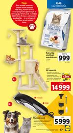 Lidl akciós újság hét 21 Oldal 17
