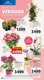 Lidl akciós újság hét 21 Oldal 24
