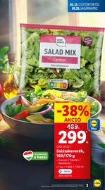 Lidl akciós újság hét 21 Oldal 3