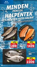 Lidl akciós újság hét 21 Oldal 36