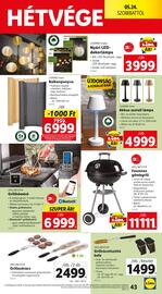 Lidl akciós újság hét 21 Oldal 43