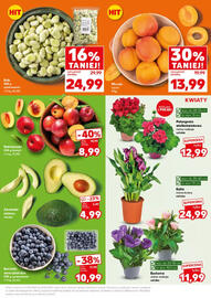 Kaufland gazetka Strona 13