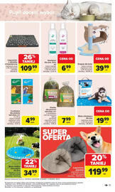 Carrefour Market gazetka tydzień 21 Strona 37