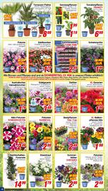CENTERSHOP Prospekt woche 21 Seite 6